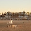 Kimpton Shorebreak Huntington Beach Resort By Ihg