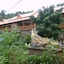 Phuttachot Resort Phi Phi