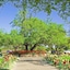 The Lodge At Ventana Canyon