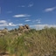 Boulders Resort & Spa Scottsdale