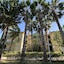 Melissa Garden Apart Hotel