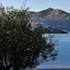 Senia Hotel