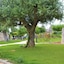 Relais Il Palmento