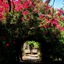 Quinta Da Praia Das Fontes