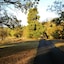 Moore Park Inn