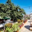 Casa Dona Susana - Only Adults