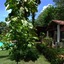 Hotel Marinas Resort