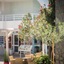Anika Studios