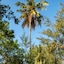 Hakuna Majiwe Beach Lodge