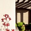 Hampton Inn & Suites Arroyo Grande Pismo Beach Area