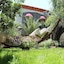 Bella Garden Hotel