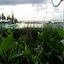 Bizerta Resort