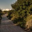 Furnirussi Tenuta