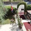 Tarchon Luxury B&B