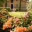 Tenuta Cusmano Villa Resort