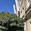 Fleur De Lis Hotel