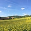 Parkhotel Schillerhain