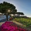 Capofaro Locanda & Malvasia