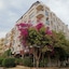 Golden Rose Hotel
