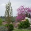 Locanda Le Boscarecce
