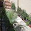 Il Giardino Segreto
