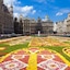 Hotel 'Chollo' 4* Bruselas