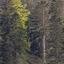 Le Clos Du 5 - Appart Hotel Bagneres