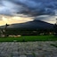La Fucina Di Vulcano