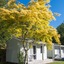 Picton Top10 Holiday Park