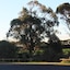 Mount Gambier International Motel