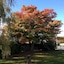 Acacia Bed And Breakfast