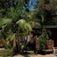 The Palms At Avoca