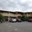 Essendon Motel