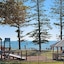 Norfolks On Moffat Beach