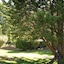 Peppermint Brook Cottages