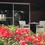 Forest Lodge Resort