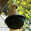 Bowral Road Bed And Breakfast