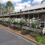 Golden Heritage Cottages