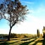 The Oaks Ranch