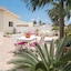 Aruba Palms Escape Suites