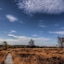 Domaine des Hautes Fagnes