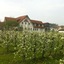 Landgasthof Apfelblüte