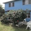 Ellen Bay Cottages
