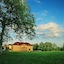 Hotel Goldener Fasan