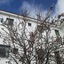 La Palma Hostel - Pensión Central