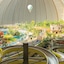 Tropical Islands Resort