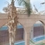 Herods Vitalis Spa Hotel Eilat A Premium Collection By Fattal Hotels
