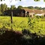 Winchelsea Lodge