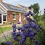 Brynhaul Bed And Breakfast