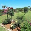 Villa Rosetta